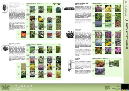 植物空间设计书籍推荐(植物空间布局)