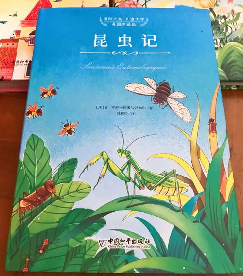 推荐昆虫儿童书籍(讲昆虫的书 小孩子读的)