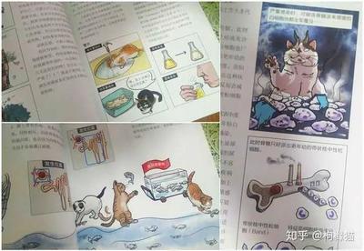 自学宠物画画书籍推荐(准备画个宠物)
