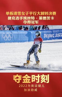 滑雪单板推荐书籍(滑雪单板教材)
