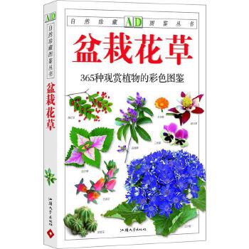 小孩植物书籍推荐图片(儿童 植物)