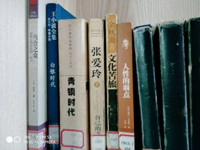 秋雨张爱玲书籍推荐小说(秋雨 张爱玲原文)