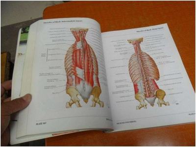出名的解剖书籍推荐(关于解剖的书哪本好)