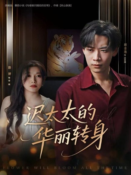 迟太太的华丽转身（80集）胡金池＆路婷 高清完整版