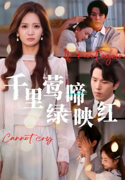 千里莺啼绿映红（63集）罗嘉麒&刘美娜 高清完整版