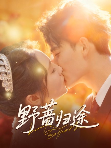 野蔷归途（80集）李书滔＆尚芸琪 高清完整版