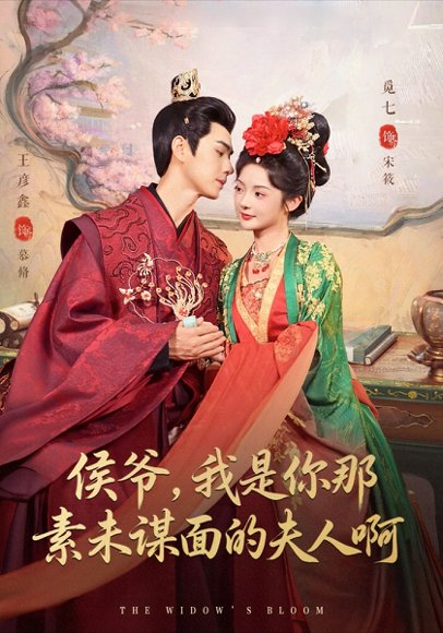 侯爷，我是你那素未谋面的夫人啊（80集）王彦鑫＆觅七 高清完整版