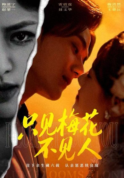 只见梅花不见人（63集）聂文华&王楚沅 高清完整版